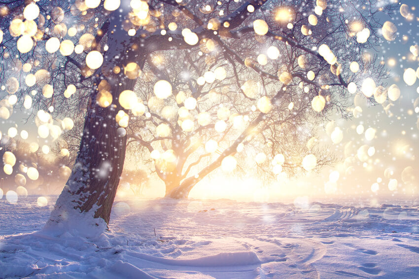 Cold winter glitter background with snowflake Photograph by Michal