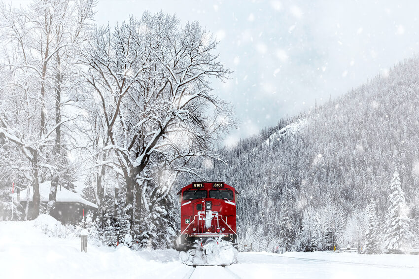Snow Train Track Photography Backdrops Winter Night Moon Background Ba –  dreamybackdrop