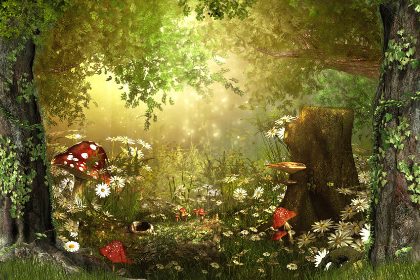 Fairy Tale Wonderland Forest Mushrooms Backdrop M6-126 – Dbackdrop