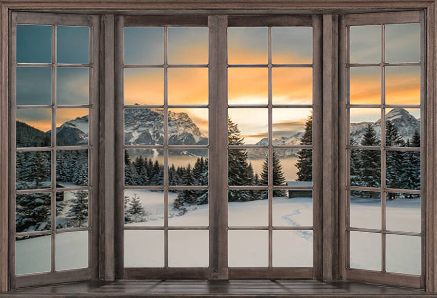 Snow Windows