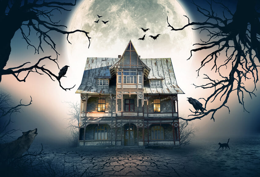 Haunted House Moon Scene Backdrop for Photo Shoot SH1052 Dbackdrop