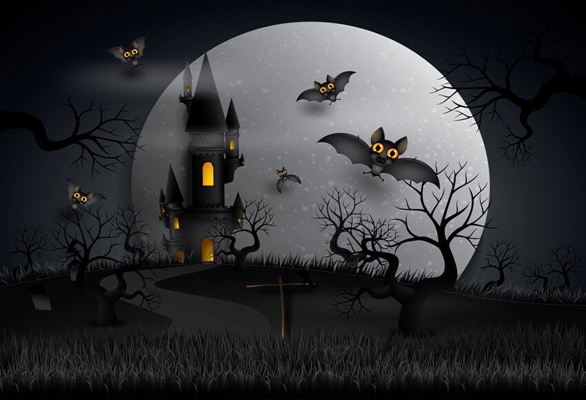 Ghost Castle Halloween Night Sky Backdrop for Photography SH-1070 –  Dbackdrop