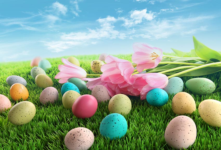 Easter Decorations Background Easter Eggs Spring Flowers Green