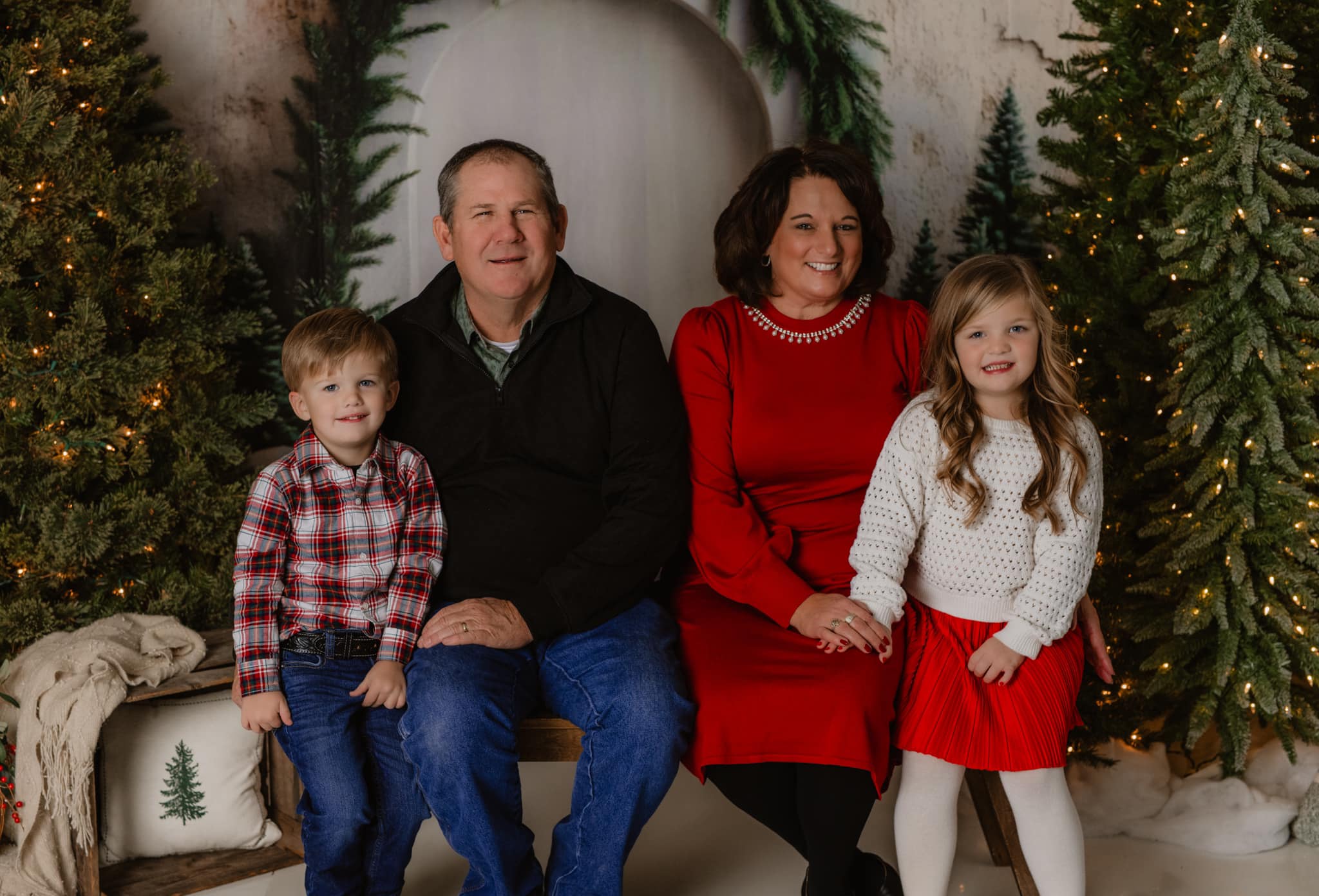 Christmas Tree Arch Photography Backdrop RR8-347