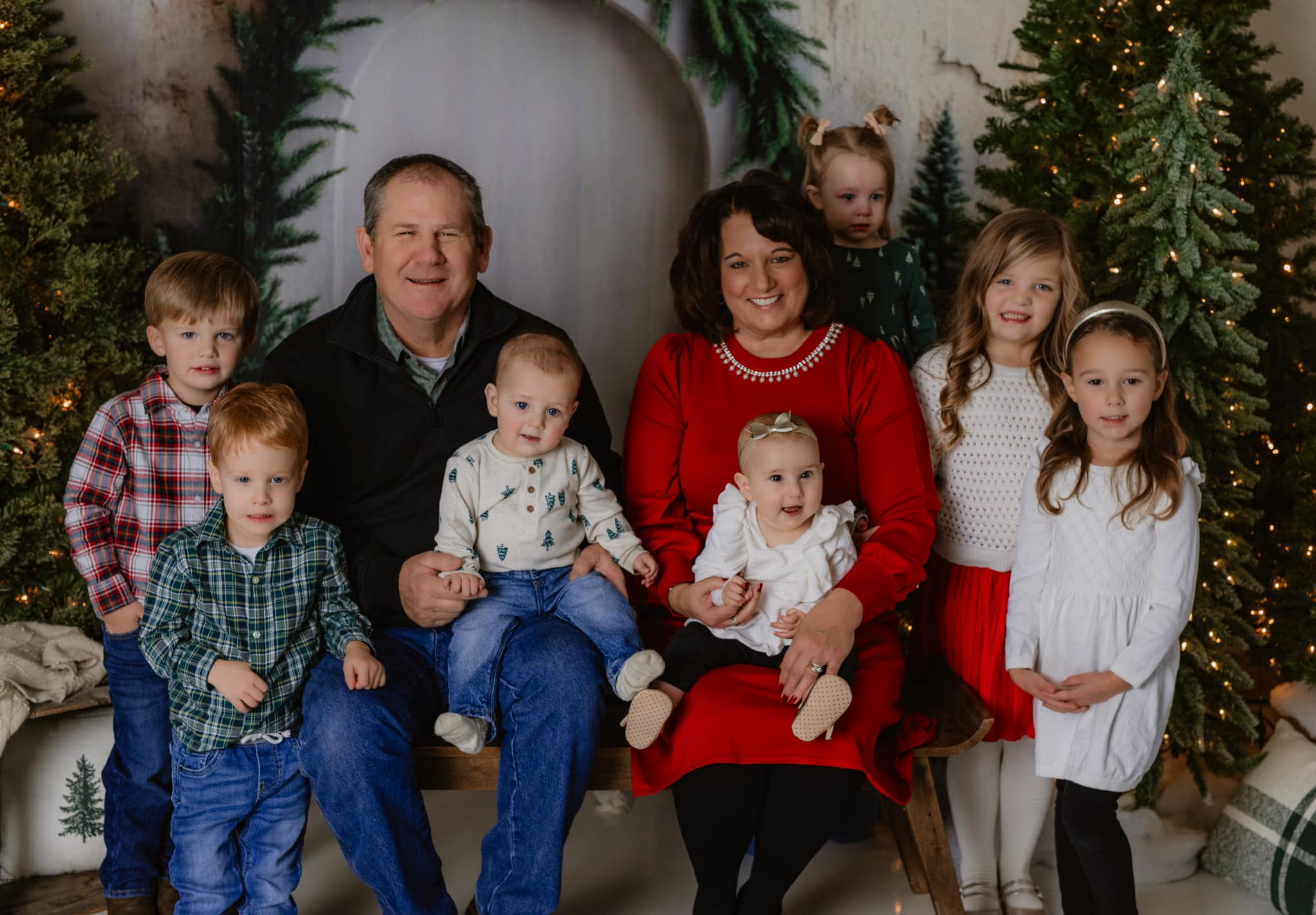 Christmas Tree Arch Photography Backdrop RR8-347