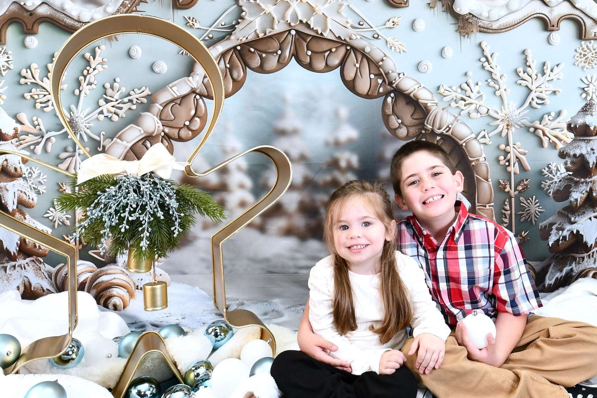 Christmas Gingerbread Snowflake Archway Backdrop RR7-661