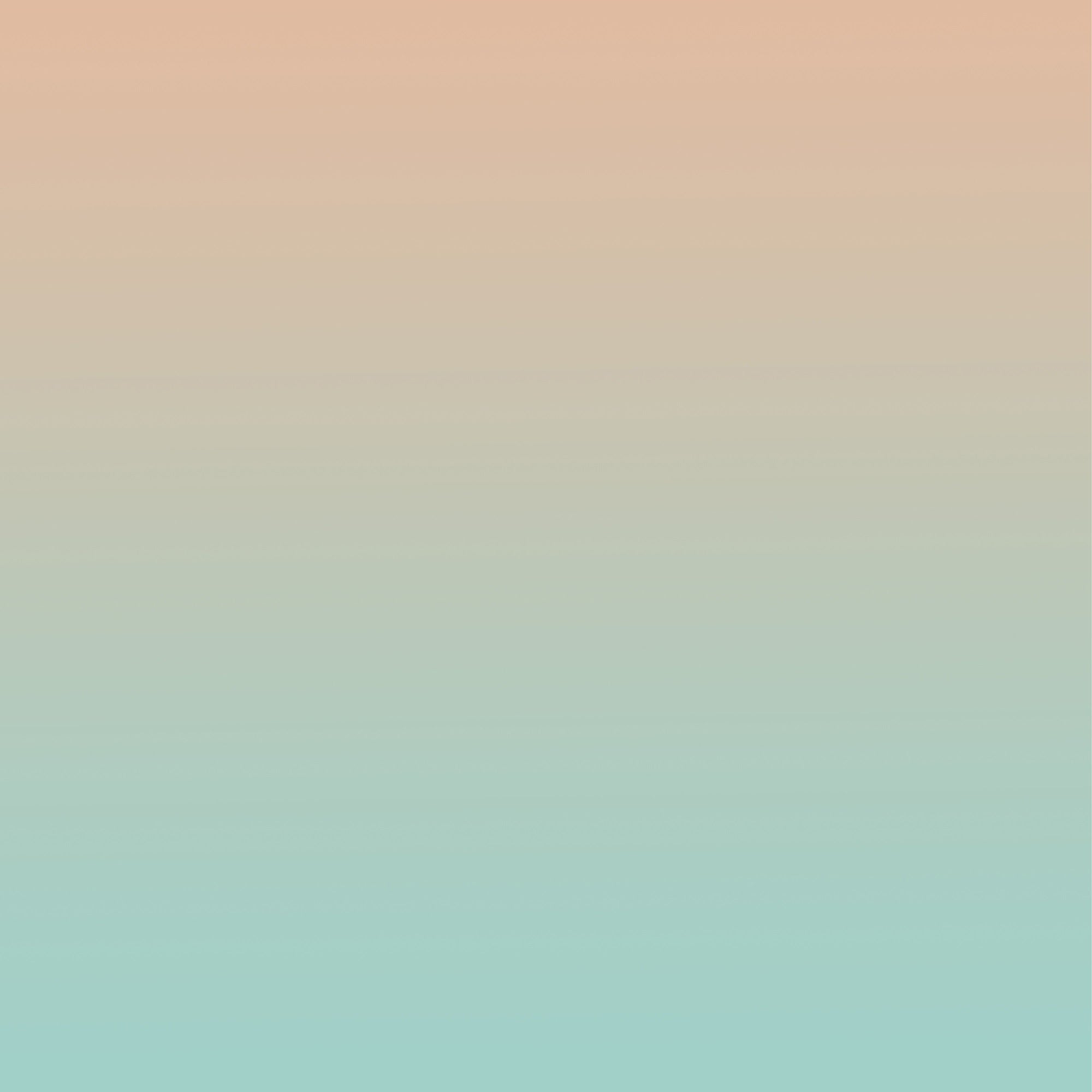 Portrait Photography Backdrop Gradient Blush Green Studio Backdrop BRP-11-604