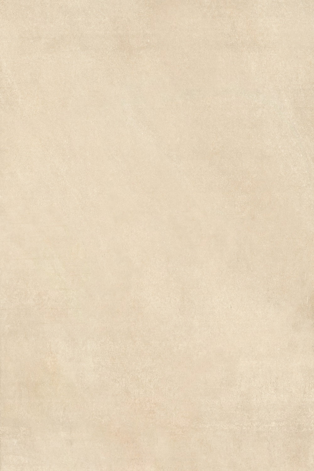 Backdrop Portrait Beige Texture Wall Backdrop BRP-11-625