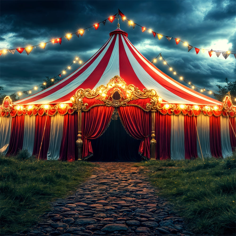 Circus Themed Photo Backdrop Carnival Tent Night Backdrop BRP1-181