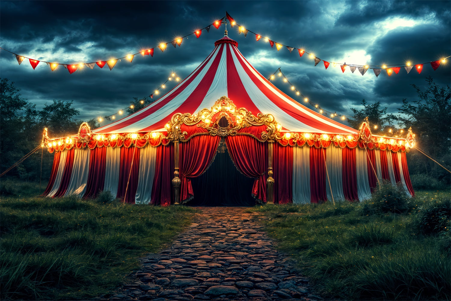 Circus Themed Photo Backdrop Carnival Tent Night Backdrop BRP1-181