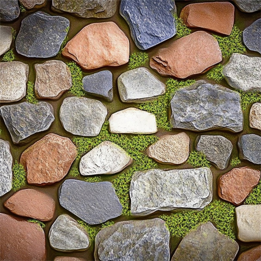 Floor Backdrop Photography Mixed Stone Patterns Moss Backdrop BRP1-25