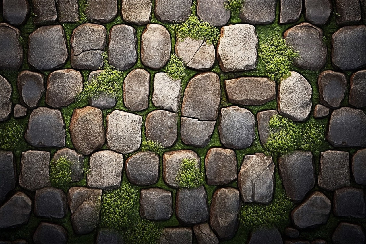 Photography Floor Backdrop Rustic Stone Moss Layers Backdrop BRP1-26