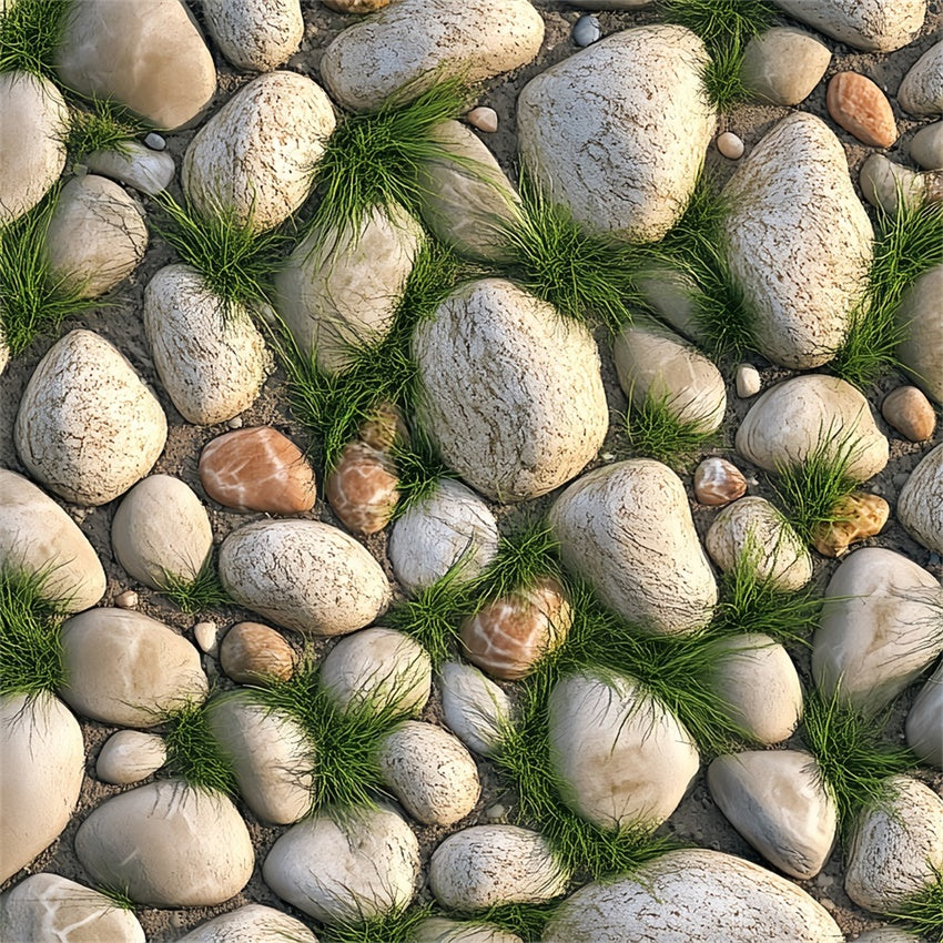 Photography Backdrop Floor Natural Pebble Path Grass Backdrop BRP1-27