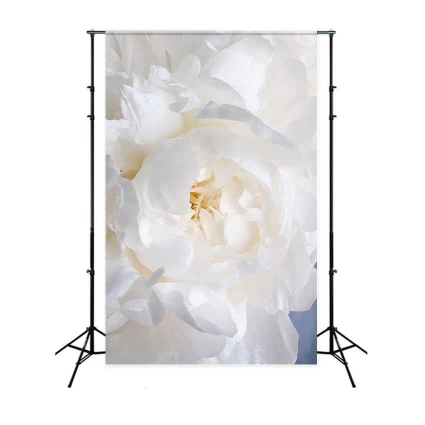 Floral Photography Backdrops White Peony Blossom Backdrop BRP1-385