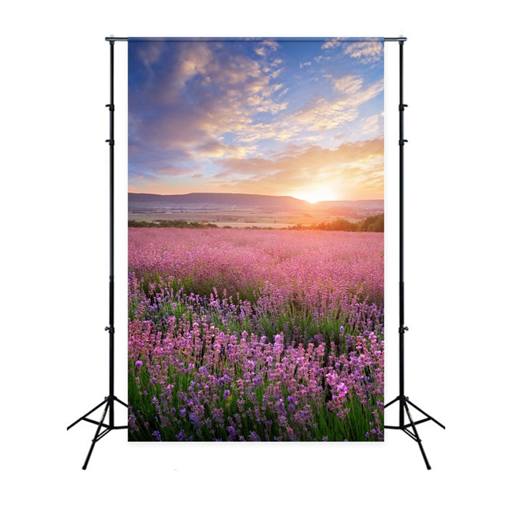 Flower Photo Backdrop Golden Glow Purple Lavender Backdrop BRP1-496