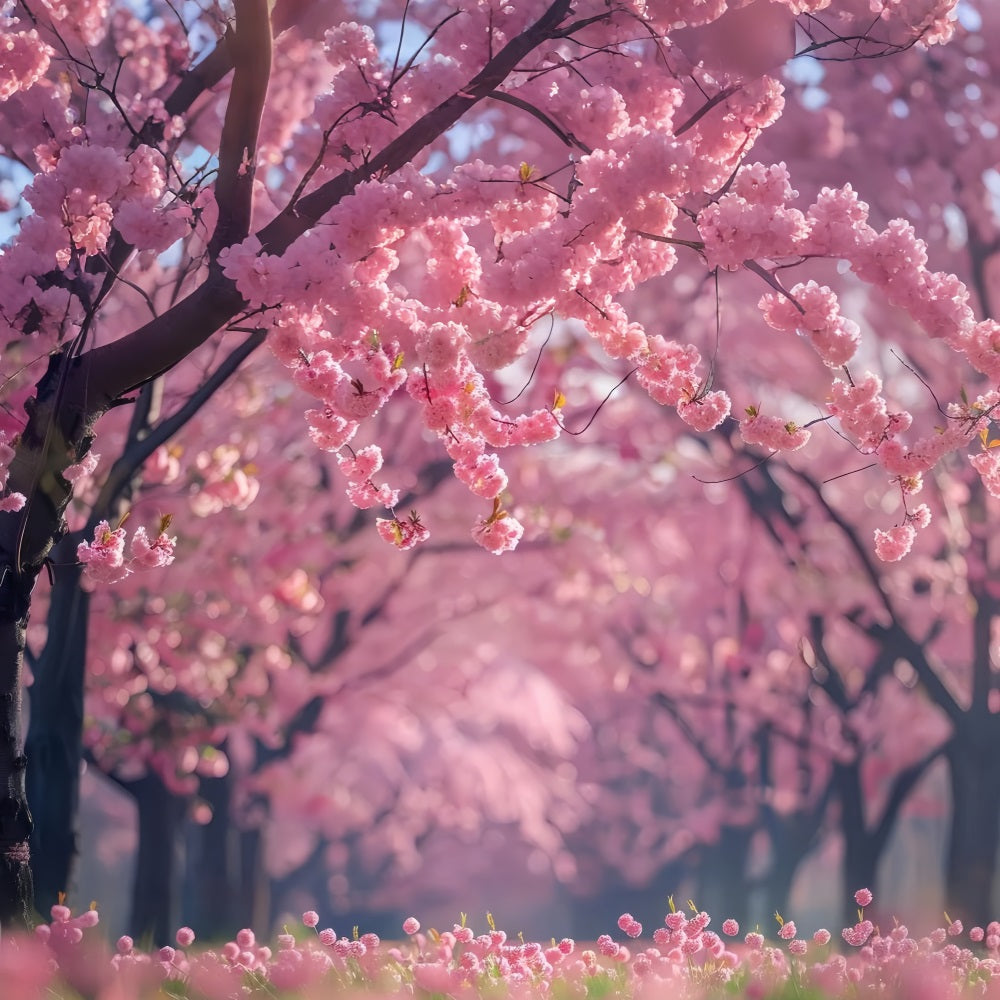 Floral Backdrops Cherry Blossom Pathway Photography Backdrop BRP1-519