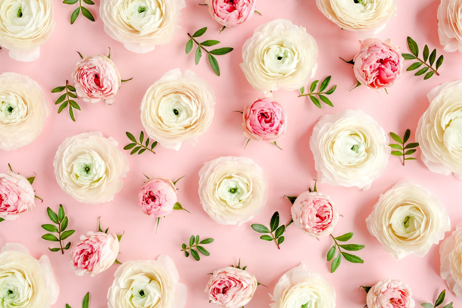 Flower Photo Backdrop Pink White Roses Backdrop BRP1-521