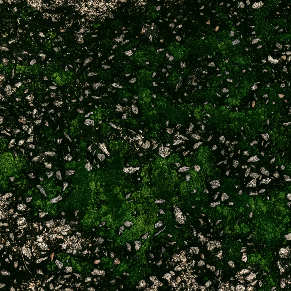 Photography Backdrop Floor Gravel Moss Green Floor Backdrop BRP1-530