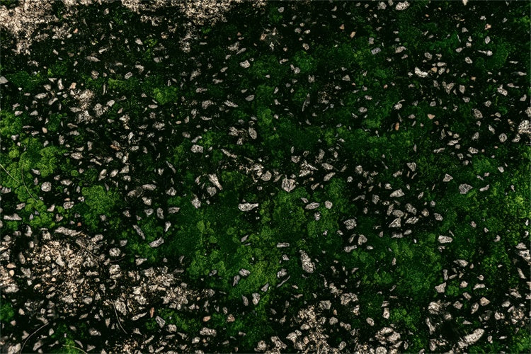 Photography Backdrop Floor Gravel Moss Green Floor Backdrop BRP1-530