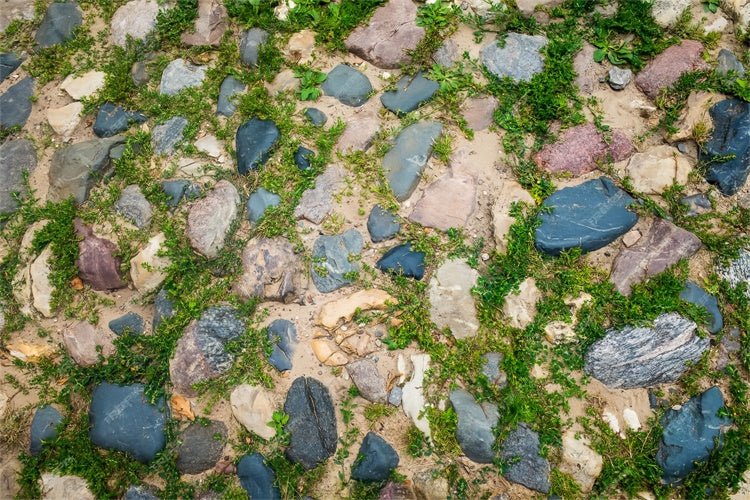 Floor Backdrop Green Moss Stone Path Floor Backdrop BRP1-531