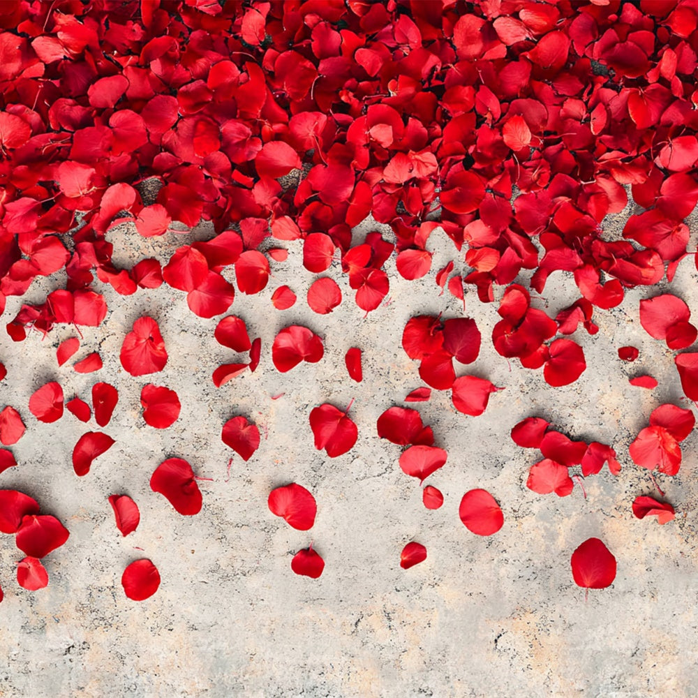 Photography Floor Backdrops Rose Petal Concrete Floor Backdrop BRP1-553