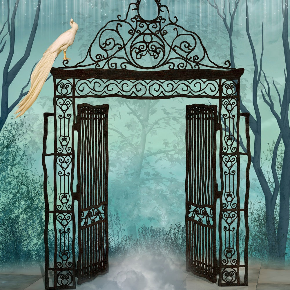 Halloween Backdrop Backdrops Spooky Gate Foggy Atmosphere Backdrop BRP10-177