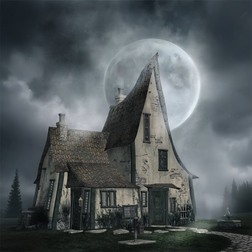 Backdrop For Halloween Haunted House Misty Moonlight Backdrop BRP10-221