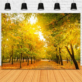 Fall Leaves Background Autumn Trees Golden Backdrop BRP10-234