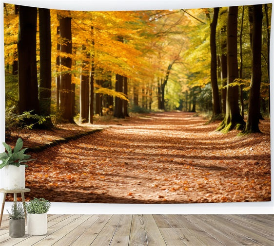 Fall Backdrop Autumn Forest Park Path Scenic Backdrop BRP10-235