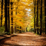 Fall Backdrop Autumn Forest Park Path Scenic Backdrop BRP10-235