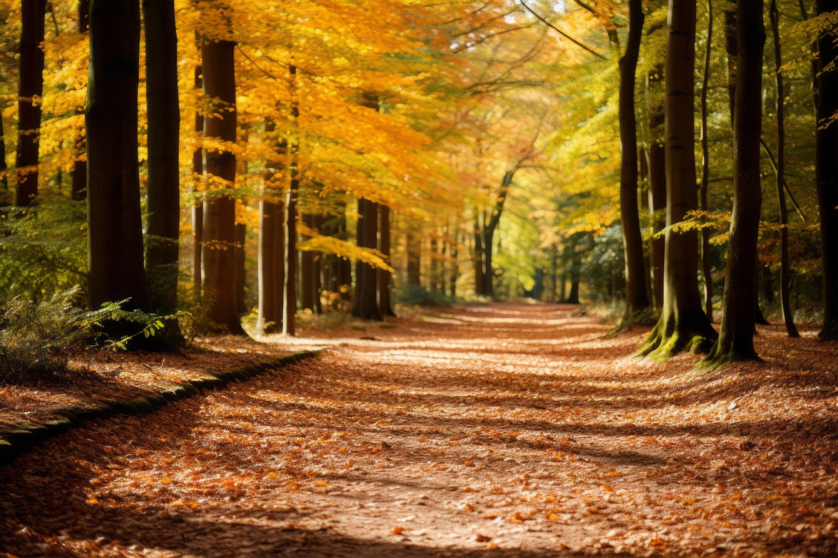 Fall Backdrop Autumn Forest Park Path Scenic Backdrop BRP10-235