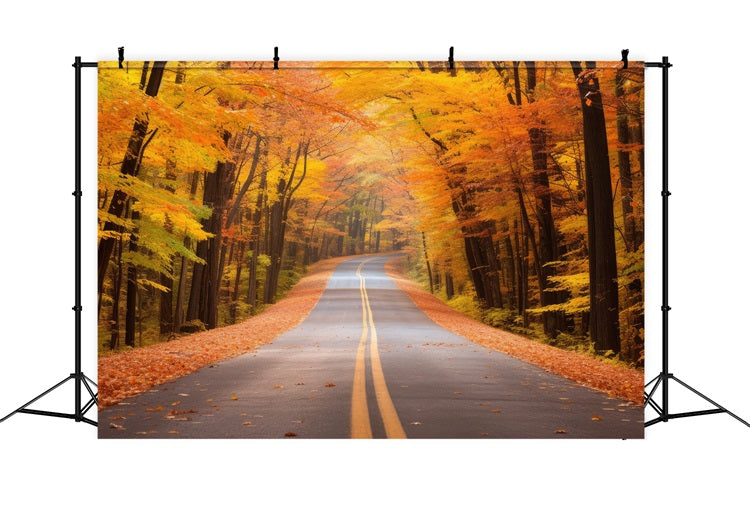 Fall Background Scenic Fall Forest Driveway Road Backdrop BRP10-236