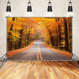 Fall Background Scenic Fall Forest Driveway Road Backdrop BRP10-236