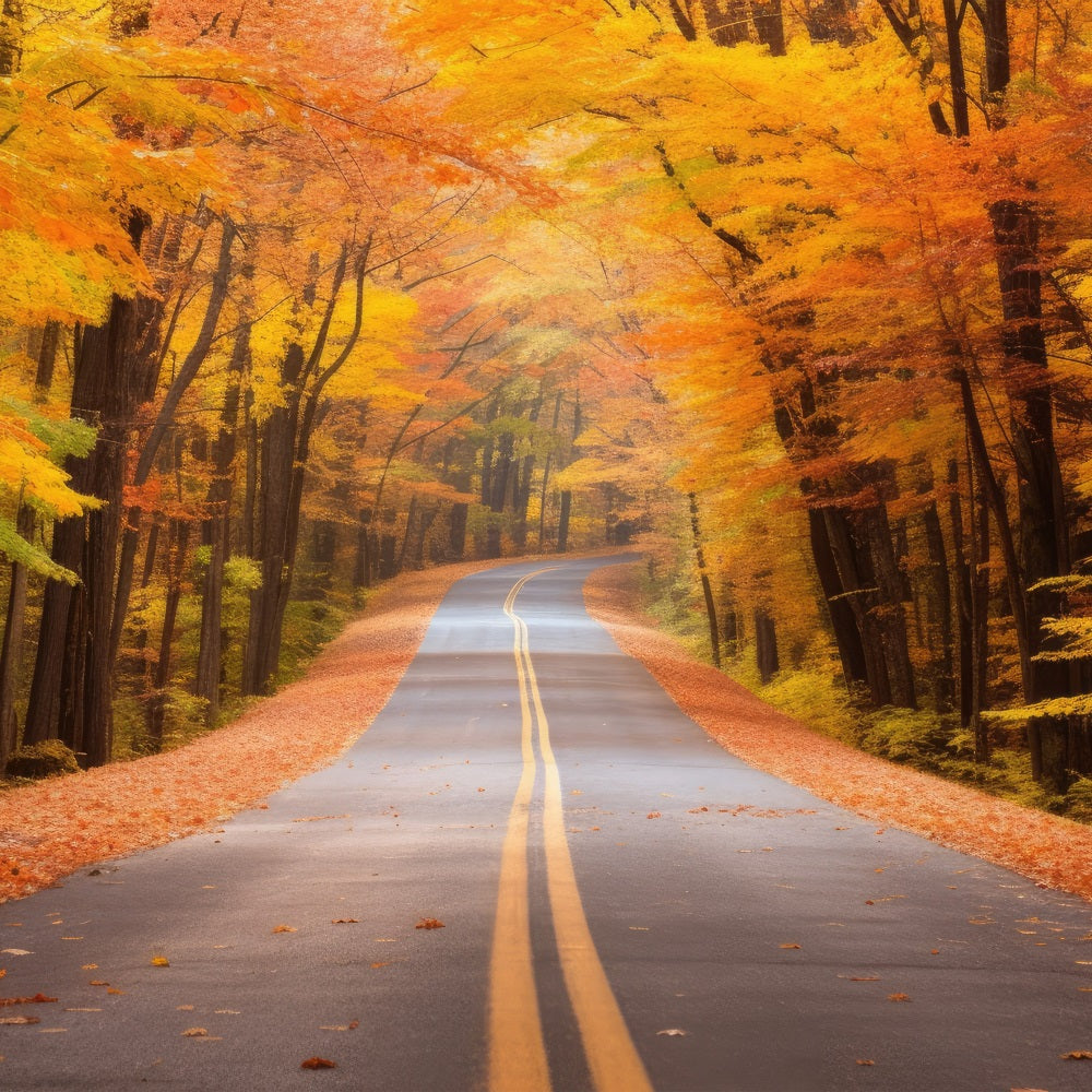 Fall Background Scenic Fall Forest Driveway Road Backdrop BRP10-236