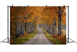 Fall Photo Backdrop Birch Tree Pathway Scene Backdrop BRP10-237