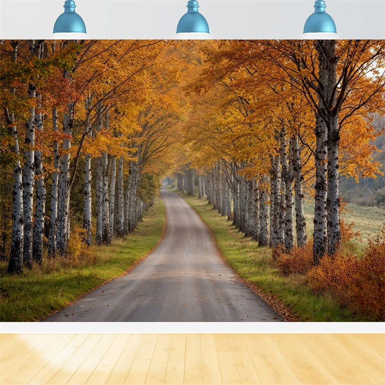 Fall Photo Backdrop Birch Tree Pathway Scene Backdrop BRP10-237