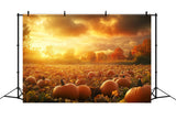 Fall Backdrops Sunset Glow Pumpkin Patch Backdrop BRP10-242