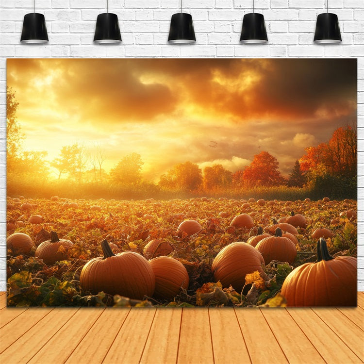 Fall Backdrops Sunset Glow Pumpkin Patch Backdrop BRP10-242