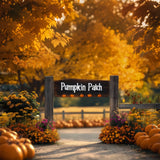 Fall Theme Background Flowers Pumpkin Patch Backdrop BRP10-244