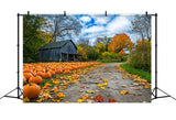 Autumn Background Rustic Farmhouse Pumpkin Patch Backdrop BRP10-250