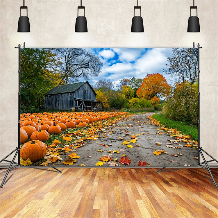 Autumn Background Rustic Farmhouse Pumpkin Patch Backdrop BRP10-250