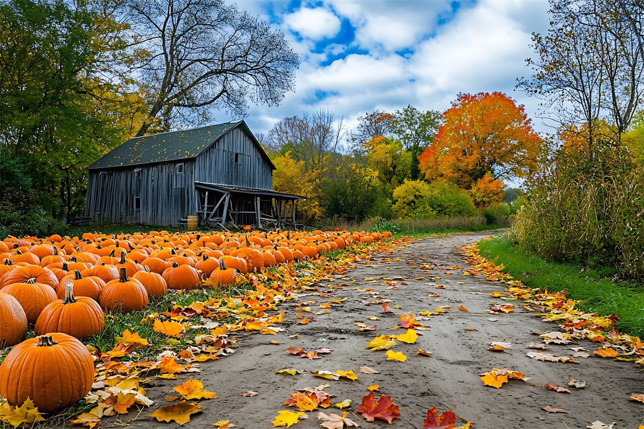 Autumn Background Rustic Farmhouse Pumpkin Patch Backdrop BRP10-250