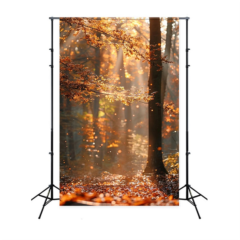 Autumn Photo Backdrops Forest Shimmering Sunbeams Backdrop BRP10-263