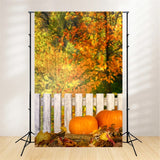 Fall Picture Backdrops Rustic Fence Pumpkins Backdrop BRP10-266