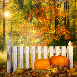 Fall Picture Backdrops Rustic Fence Pumpkins Backdrop BRP10-266