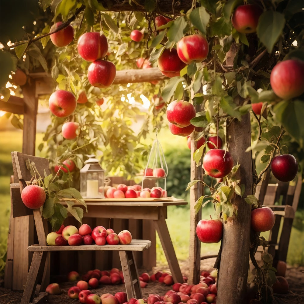 Fall Harvest Backdrop Orchard Apples Scene Backdrop BRP10-267