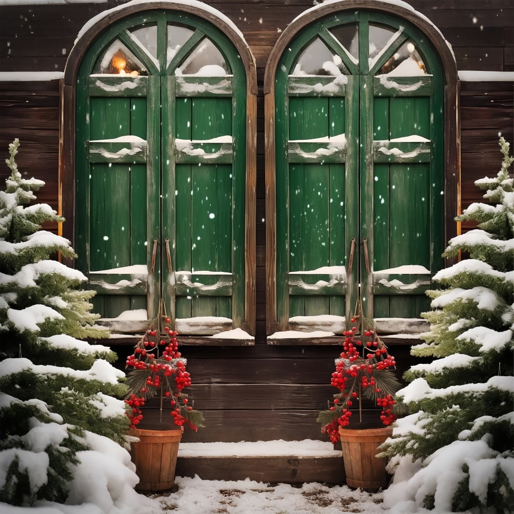 Winter Snowy Scene Wooden Window Backdrop BRP10-43