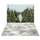 Winter Evergreen Forest Path Backdrop+Snow Layer Floor Backdrop BRP10-467