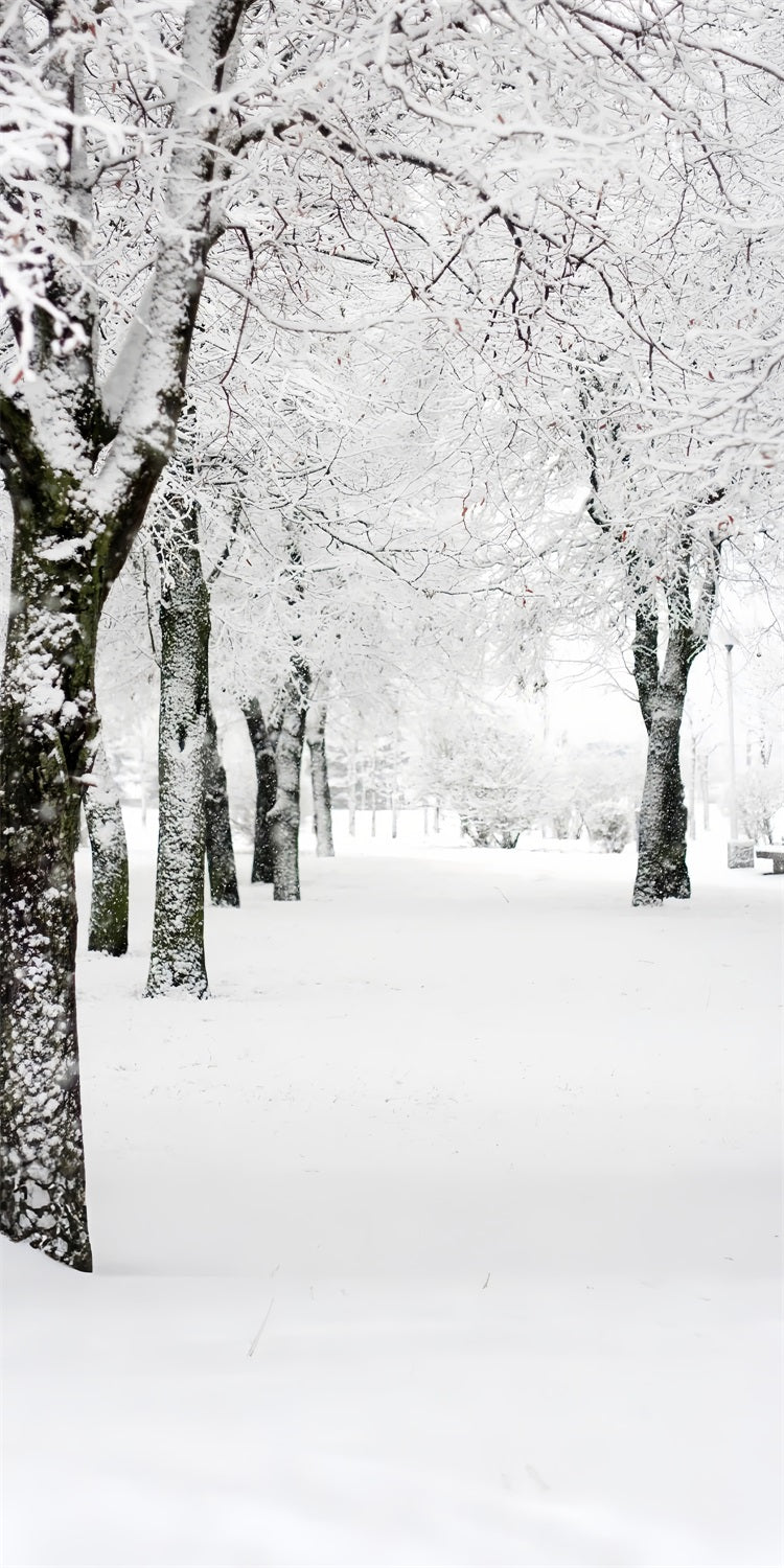 Winter Wonderland Sweep Park Frosted Trees Backdrop BRP10-518