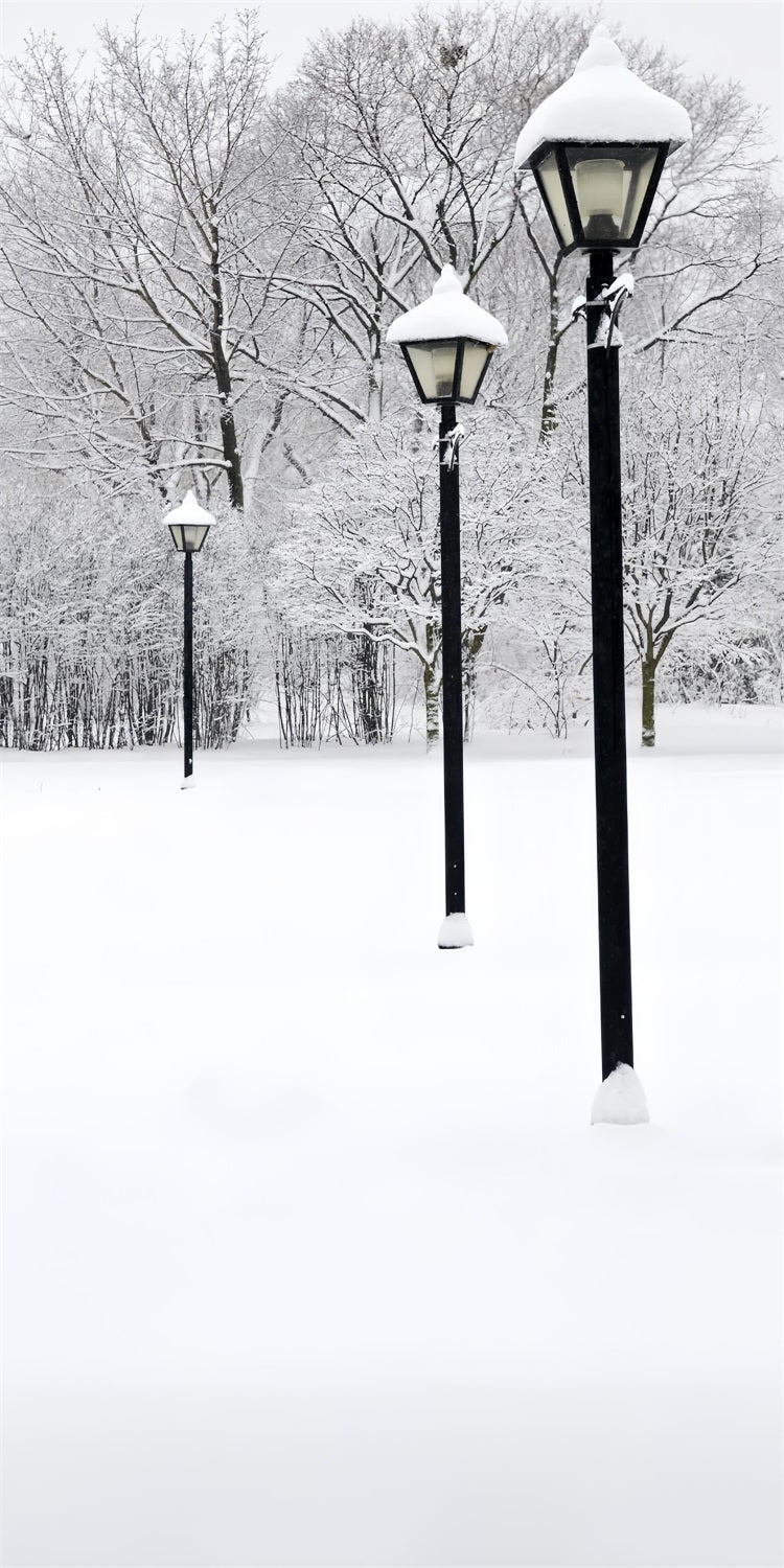 Winter Snowy Sweep Street Lamp Scene Backdrop BRP10-519